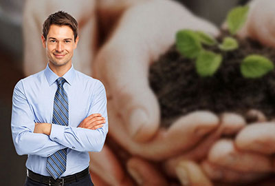 Social Economy Consultant